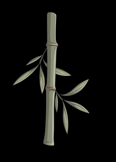 Bamboo Stick for decoration